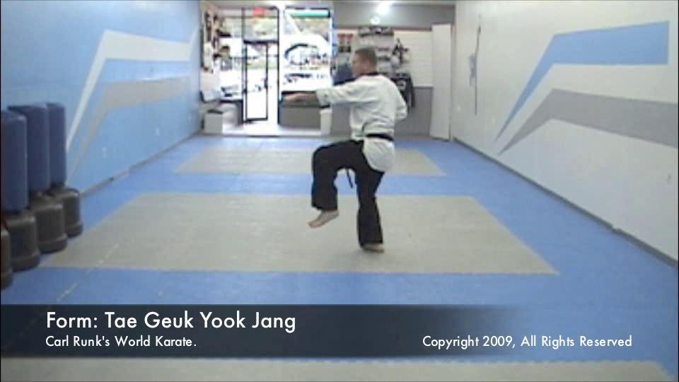 thumbnail of Taegeuk Yook Jang demonstration video